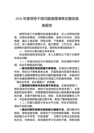 2026年度领导干部问题查摆清单及整改措施报告