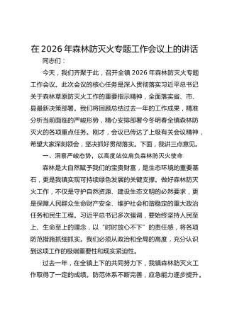 在2026年森林防灭火专题工作会议上的讲话