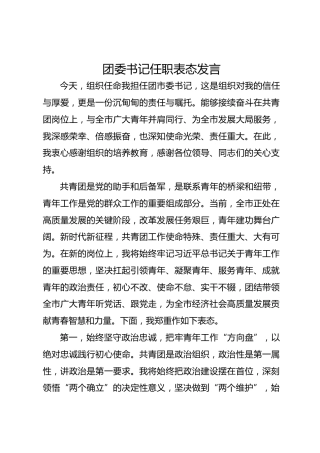 团委书记任职表态发言