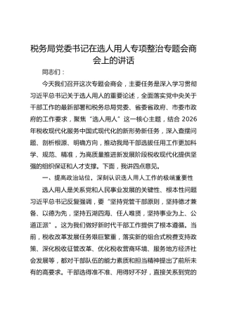 税务局党委书记在选人用人专项整治专题会商会上的讲话