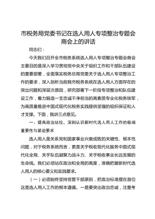 市税务局党委书记在选人用人专项整治专题会商会上的讲话