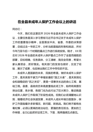 在全县未成年人保护工作会议上的讲话