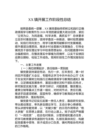XX镇开展工作阶段性总结
