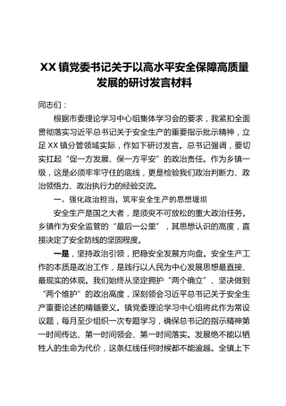 XX镇党委书记关于以高水平安全保障高质量发展的研讨发言材料