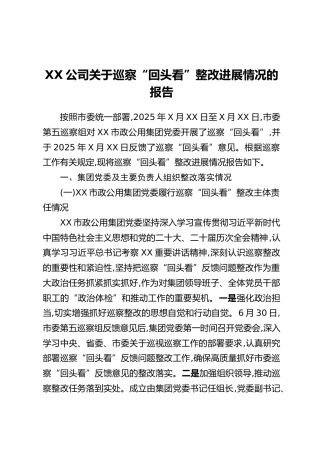 XX公司关于巡察“回头看”整改进展情况的报告