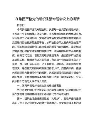 在公司严格党的组织生活专题会议上的讲话