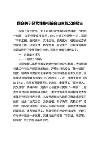 国企关于经营性指标综合自查情况的报告