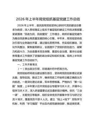 2026年上半年局党组抓基层党建工作总结