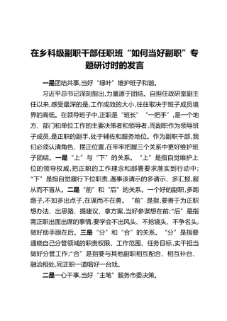 在乡科级副职干部任职班“如何当好副职”专题研讨时的发言