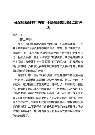 在全镇新任村“两委”干部履职培训会上的讲话