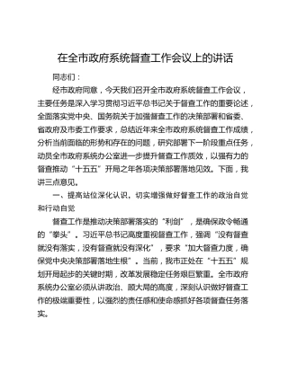 在全市政府系统督查工作会议上的讲话