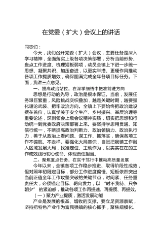 在党委（扩大）会议上的讲话