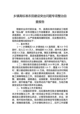 乡镇高标准农田建设突出问题专项整治自查报告