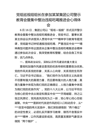 公司警示教育会暨集中整治违规吃喝推进会心得体会发言