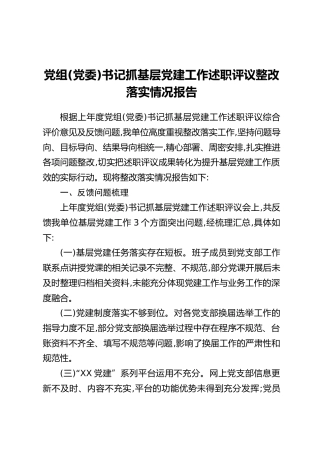 党组(党委)书记抓基层党建工作述职评议整改落实情况报告