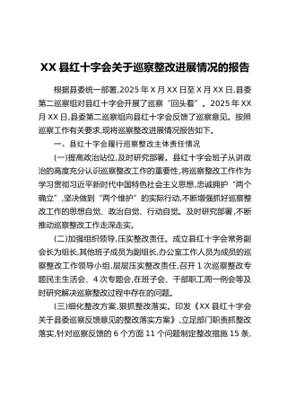 XX县红十字会关于巡察整改进展情况的报告