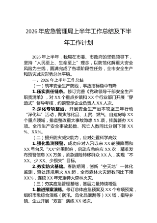 2026年应急管理局上半年工作总结及下半年工作计划