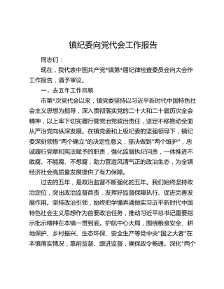 镇纪委向党代会工作报告