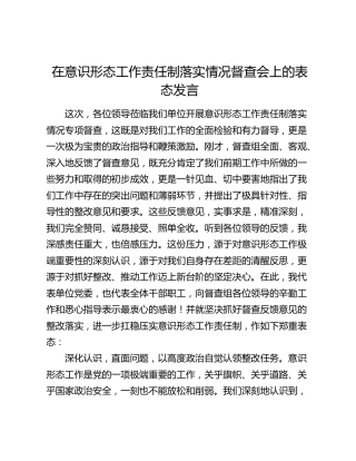 在意识形态工作责任制落实情况督查会上的表态发言