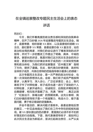 在全镇巡察整改专题民主生活会上的表态讲话