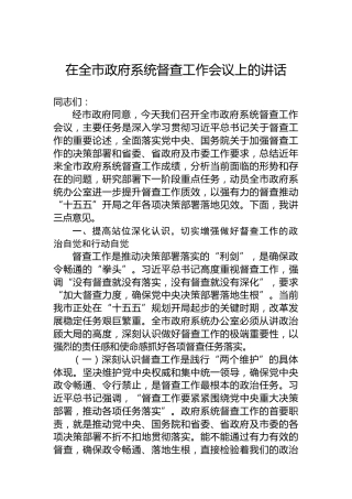 在全市政府系统督查工作会议上的讲话