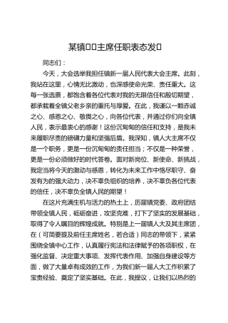 乡镇人大主席任职表态发言