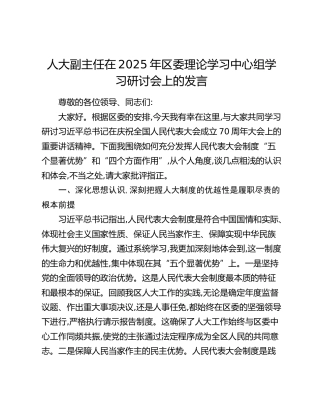 人大副主任在2025年区委理论学习中心组学习研讨会上的发言