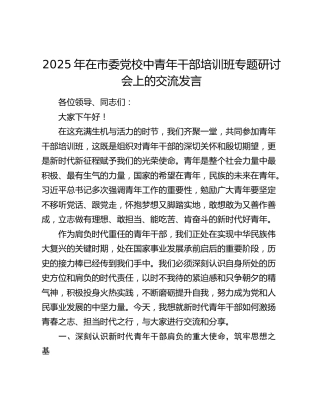 2025年在市委党校中青年干部培训班专题研讨会上的交流发言