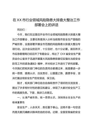 在市行业领域风险隐患大排查大整治工作部署会上的讲话