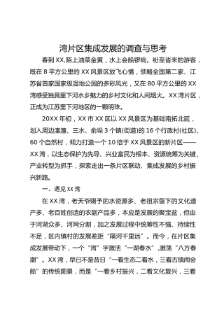湾片区集成发展的调查与思考