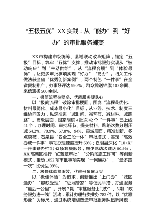 “五极五优”XX实践：从“能办”到“好办”的审批服务蝶变