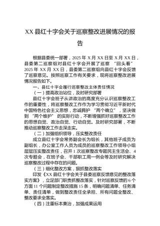 XX县红十字会关于巡察整改进展情况的报告