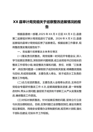 XX县审计局党组关于巡察整改进展情况的报告