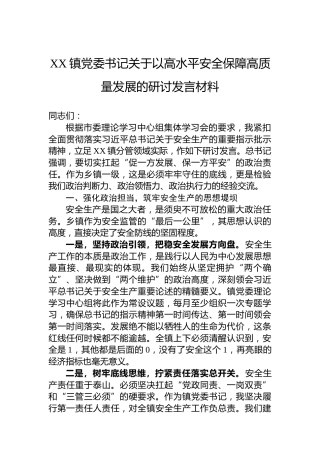 XX镇党委书记关于以高水平安全保障高质量发展的研讨发言材料
