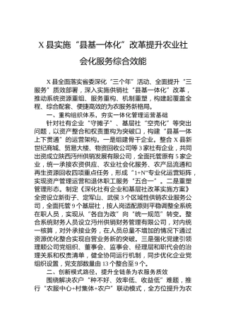 X县实施“县基一体化”改革提升农业社会化服务综合效能