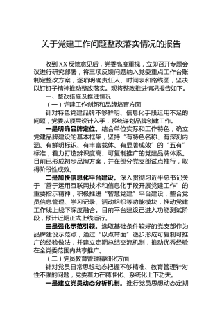关于党建工作问题整改落实情况的报告