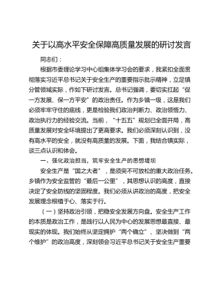 关于以高水平安全保障高质量发展的研讨发言