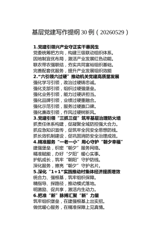 基层党建写作提纲30例（20260529）