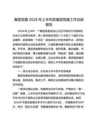 集团党委2026年上半年抓基层党建工作总结报告