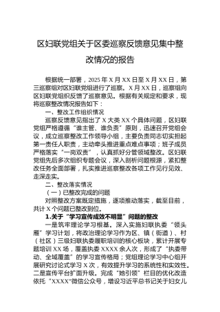 区妇联党组关于区委巡察反馈意见集中整改情况的报告