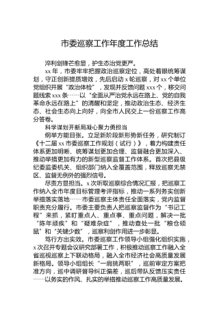 市委巡察工作年度工作总结