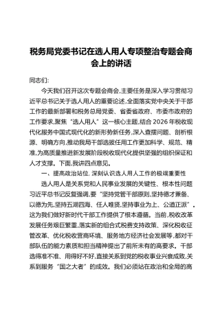 税务局党委书记在选人用人专项整治专题会商会上的讲话
