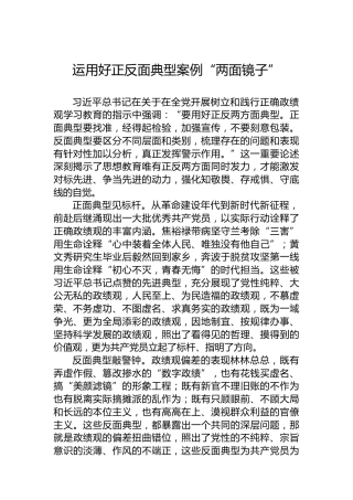 运用好正反面典型案例“两面镜子”