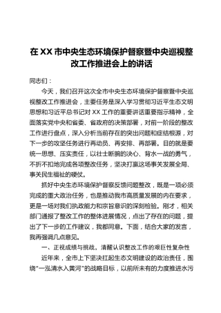 在XX市中央生态环境保护督察暨中央巡视整改工作推进会上的讲话