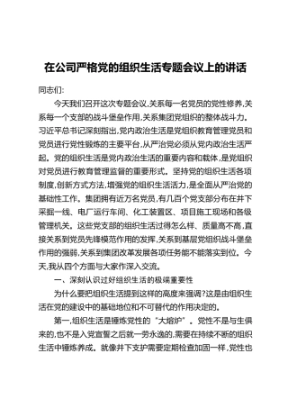 在公司严格党的组织生活专题会议上的讲话