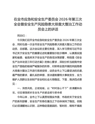 在全市应急和安全生产委员会2026年第三次全会暨安全生产风险隐患大排查大整治工作动员会上的讲话