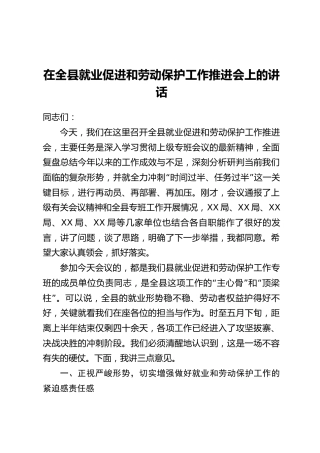 在全县就业促进和劳动保护工作推进会上的讲话
