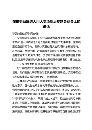 在税务系统选人用人专项整治专题会商会上的讲话