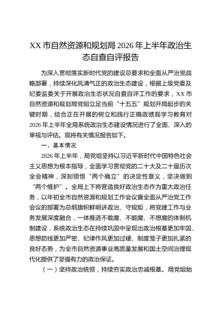 XX市自然资源和规划局2026年上半年政治生态自查自评报告