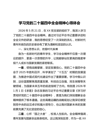 学习党的二十届四中全会精神心得体会